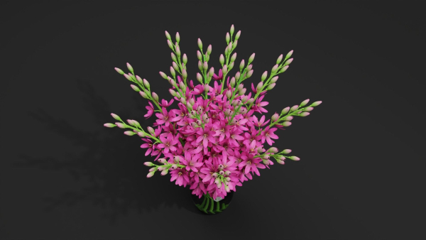 3d Flower bouquet