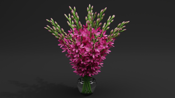 3d Flower bouquet