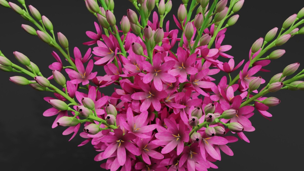 3d Flower bouquet