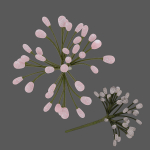 3D Flowers GAME READY types