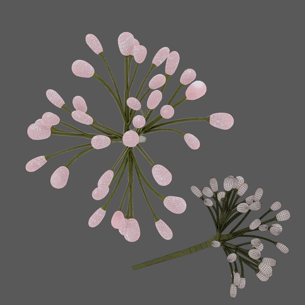 3D Flowers GAME READY types