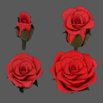 3D Flowers GAME READY types