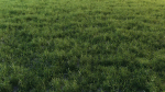3D Grass collection vol01