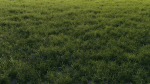 3D Grass collection vol01