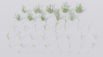 3D Grass collection vol01