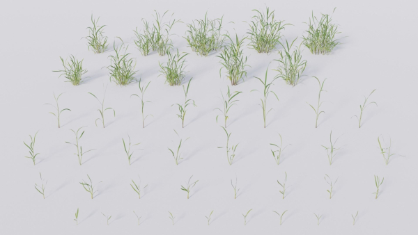 3D Grass collection vol01