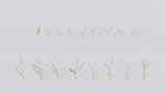 3D Grass collection vol01