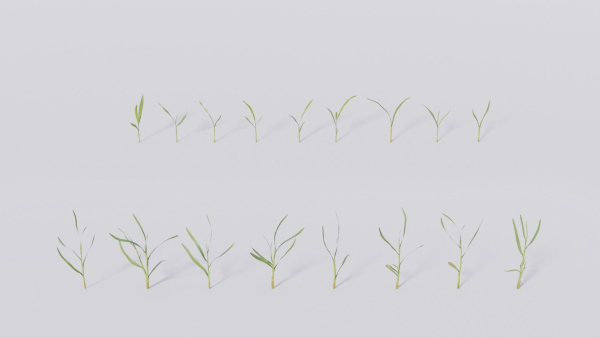 3D Grass collection vol01