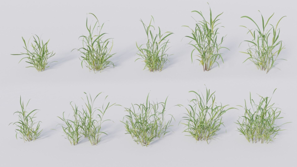 3D Grass collection vol01