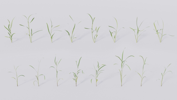 3D Grass collection vol01