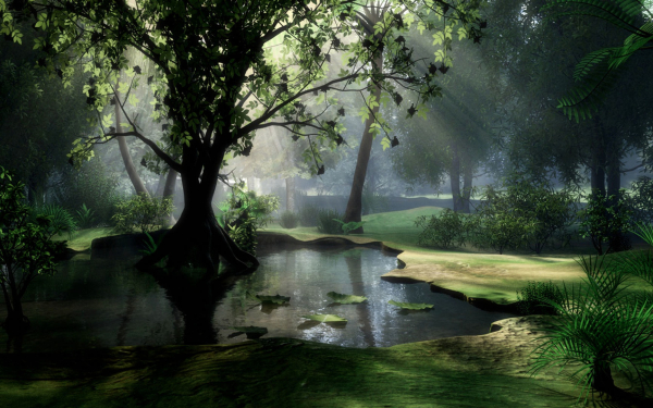 3D High Detailed Forest Lake Scene - Model