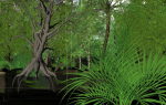 3D High Detailed Forest Lake Scene - Model