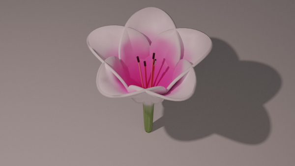 3D Lily Model