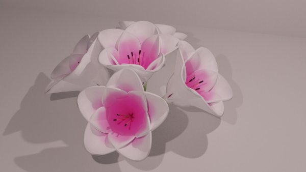 3D Lily Model