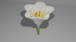 3D Lily Model