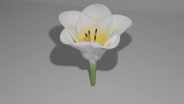 3D Lily Model