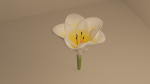 3D Lily Model