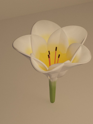3D Lily Model