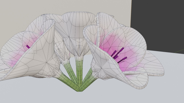 3D Lily Model