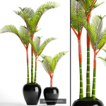 Collection of plants in pots for street and interior decor