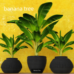 Collection of plants in pots for street and interior decor