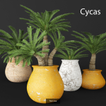 Collection of plants in pots for street and interior decor
