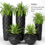 Collection of plants in pots for street and interior decor