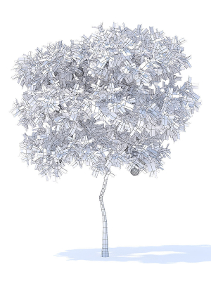 Pear Tree with Fruits 3D Model