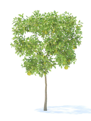 3d-model-max-obj-fbx-c4d-mtl-mat