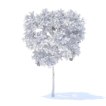 Pear Tree with Fruits 3D Model