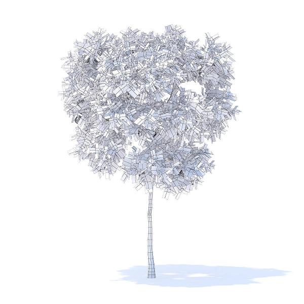 Pear Tree with Fruits 3D Model