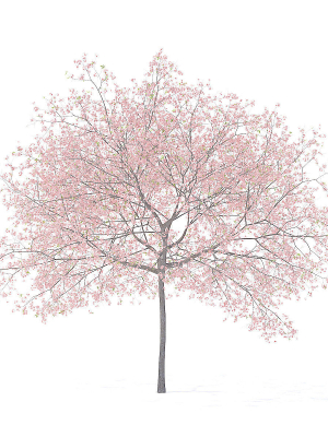 3d-model-max-obj-fbx-c4d-mtl-mat