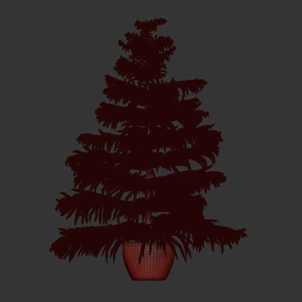 3d Norfolk pine vol 33
