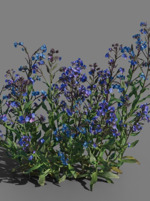 3d-plant-peacelily-vfx-grace-3d-model-11a1be70de