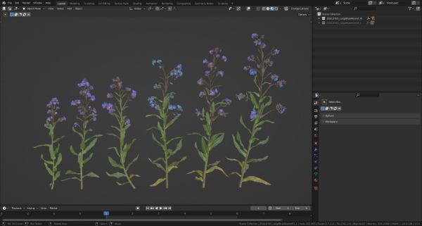 Large Blue Alkanet VFX Grace