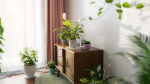 3D pot plant PeaceLily
