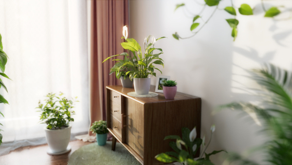 3D pot plant PeaceLily