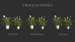 3D pot plant PeaceLily