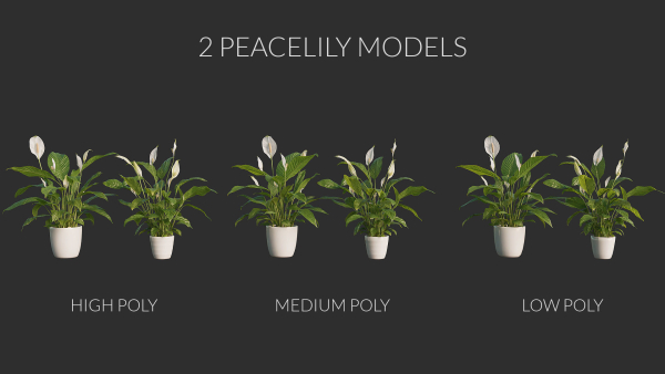 3D pot plant PeaceLily