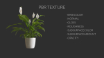 3D pot plant PeaceLily
