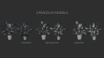 3D pot plant PeaceLily