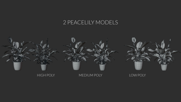 3D pot plant PeaceLily