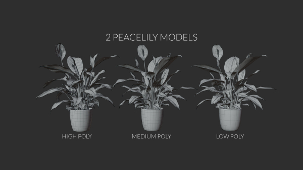 3D pot plant PeaceLily