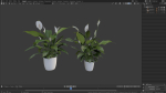 3D pot plant PeaceLily