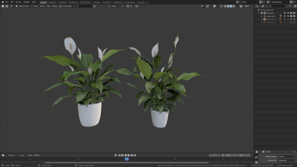 3D pot plant PeaceLily