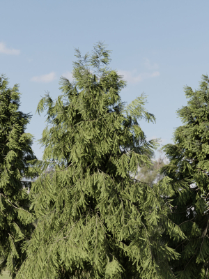 3d-spruce-tree-models-for-blender-3d-model-a74dc48fe3