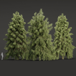 3D Spruce Tree Models for Blender