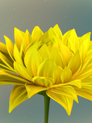 3d-sunflower-animated-3d-model-2a7e215f3f