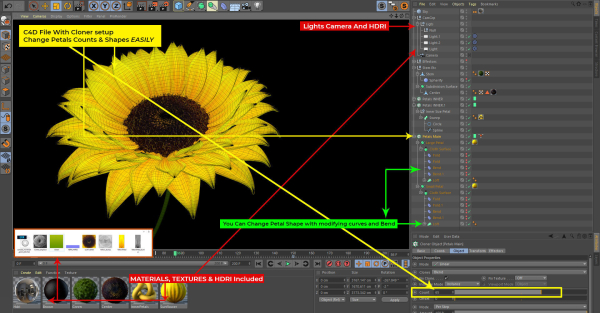 3d Sunflower Animated