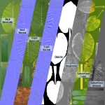 3D Taro Collection plants in garden near building